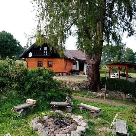 Chalupa Olsina 31 - Ferienhaus Horní Planá Buitenkant foto