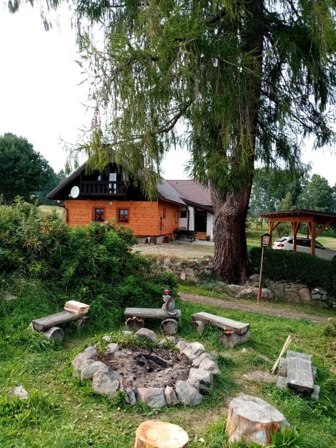 Chalupa Olsina 31 - Ferienhaus Horní Planá Buitenkant foto
